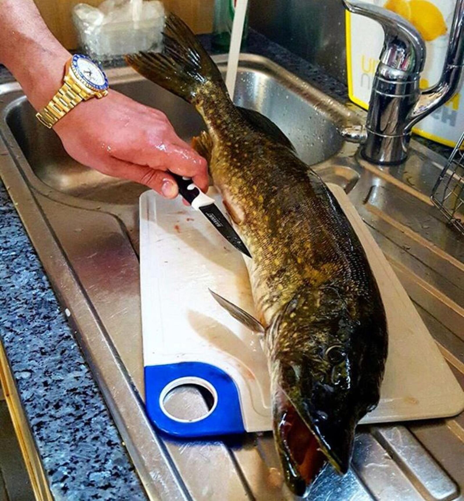 Saimaa Lakeside ルオコラハティ エクステリア 写真